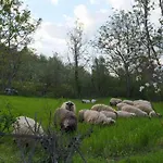 Spring Village Përmet