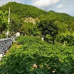 Appartamento Spring Village *