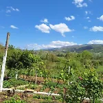 Spring Village *
