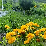 公寓 Spring Village Përmet
