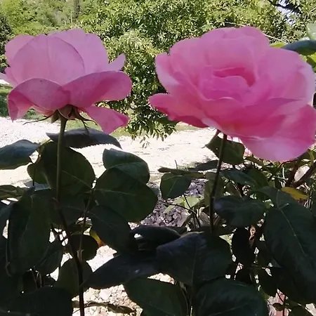 Spring Village Διαμέρισμα *