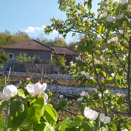 Spring Village * Permet