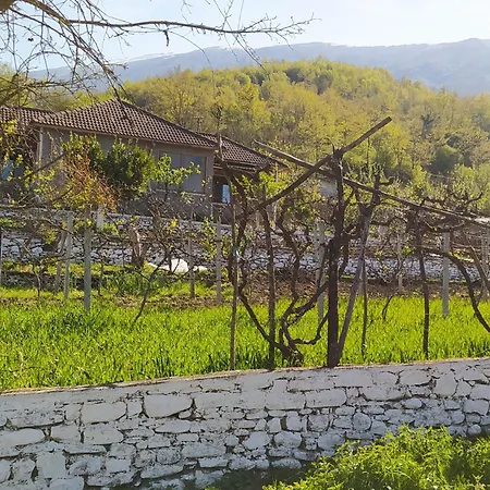 Appartement Spring Village *