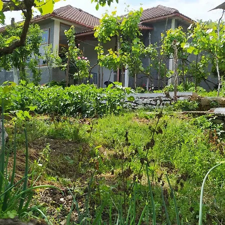 Spring Village *