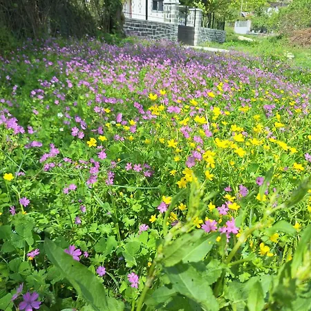 Spring Village * Permet