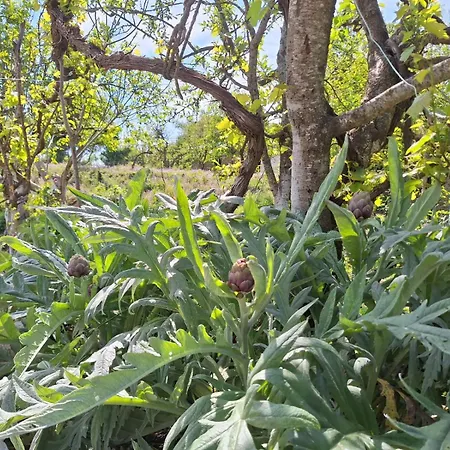 Διαμέρισμα Spring Village *