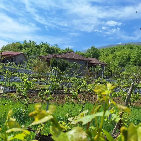 Διαμέρισμα Spring Village