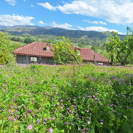 Spring Village Apartment Permet