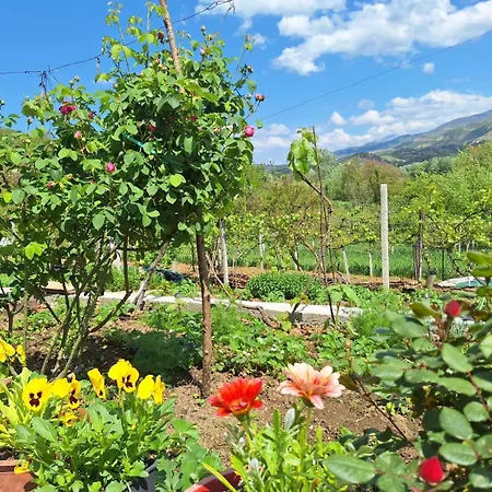 Spring Village Permet
