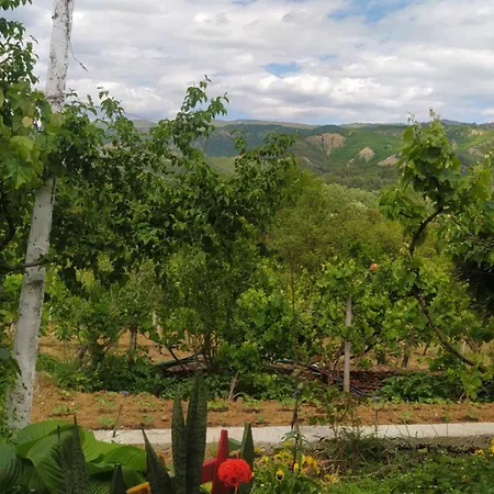 Spring Village * Πρεμετή