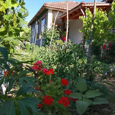 Spring Village