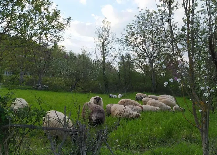 Spring Village Përmet