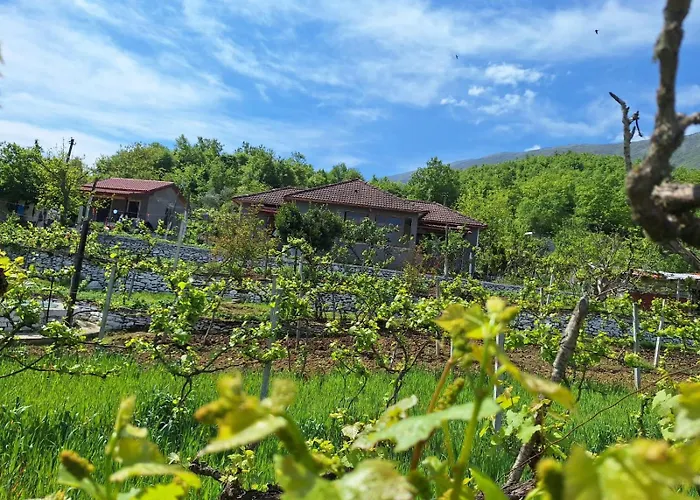 Appartement Spring Village