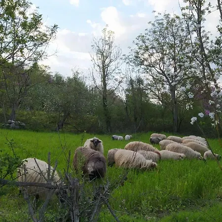 Spring Village Përmet