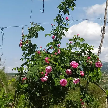 公寓 Spring Village *
