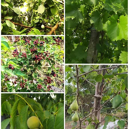 شقة Spring Village