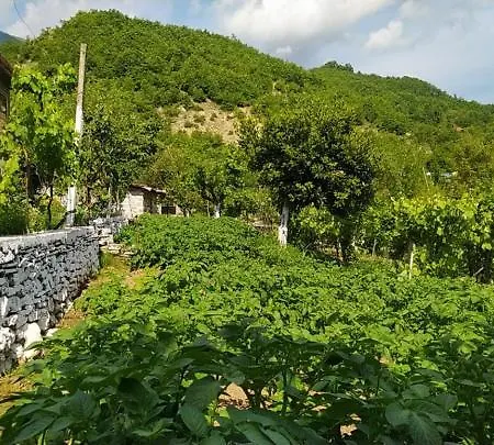 شقة Spring Village *