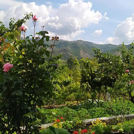 شقة Spring Village *