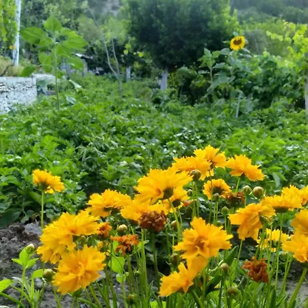 公寓 Spring Village Përmet