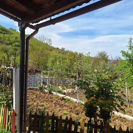 Spring Village